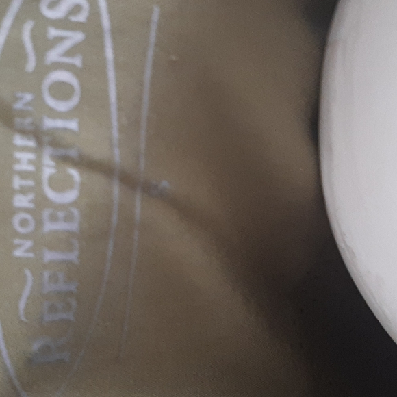 Green Vest - Picture 3 of 3